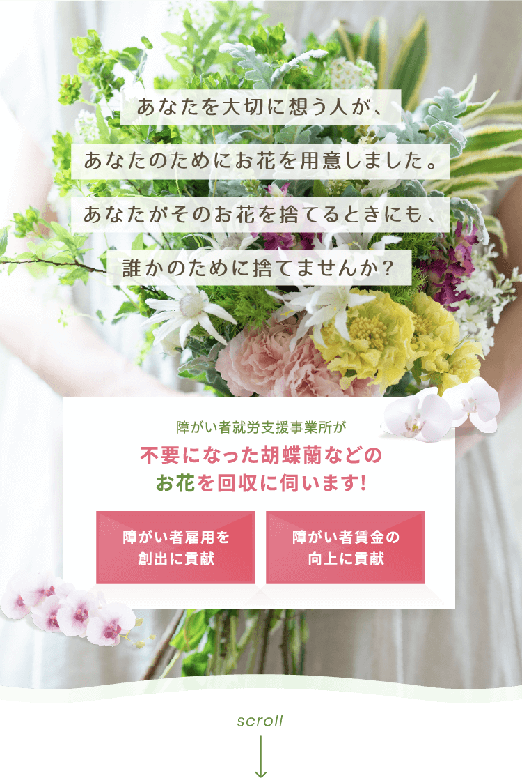 HANAプロジェクト