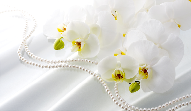 HANAプロジェクト